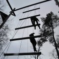 High Ropes
